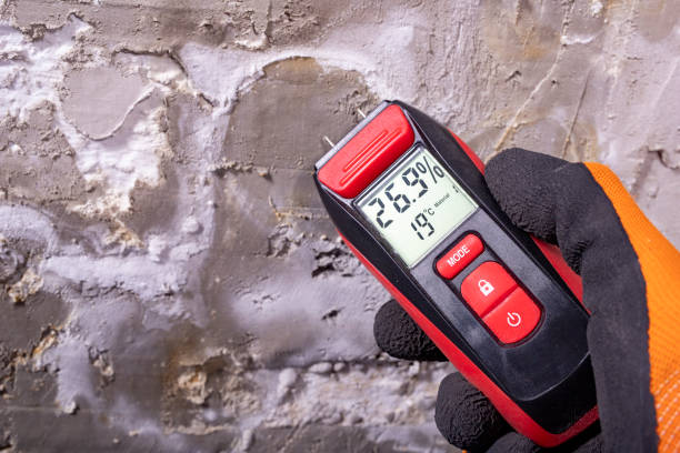 Reliable Fritch, TX Mold Remediation Solutions