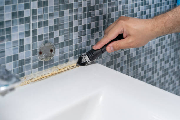 Best Residential Mold Remediation in Fritch, TX