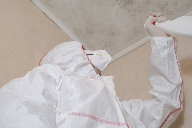Best Bathroom Mold Remediation in Fritch, TX